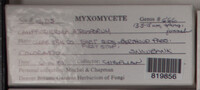 Image Associated With the Occurence